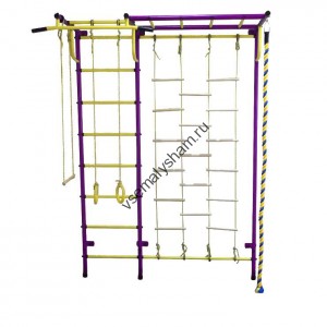 ДСК Пионер - С4ЛМ пурпурно-желтый