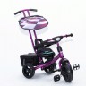 Велосипед Rich Toys Lexus Trike Next Original