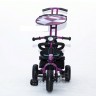 Велосипед Rich Toys Lexus Trike Next Original
