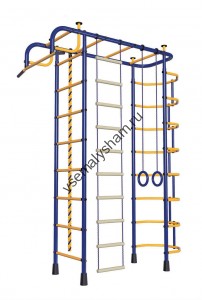 ДСК Пионер - 2М сине-желтый