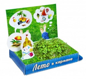 Подарочный набор Живая открытка Лето в кармане