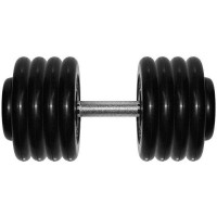 Гантель Barbell профи 43,5 кг