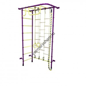 ДСК Пионер - 8ЛМ пурпурно-желтый