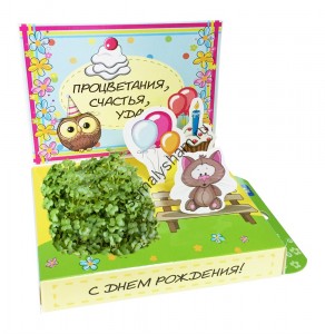 Подарочный набор С Днём рождения Котик
