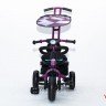 Велосипед Vip Toys Lexus Trike Original Next SPORT