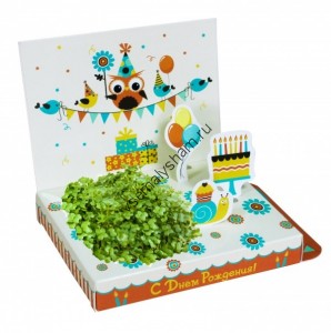 Подарочный набор С Днем рождения Совенок