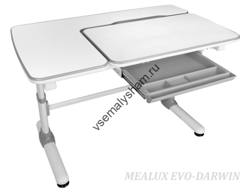 Растущая парта Mealux Darwin EVO-502