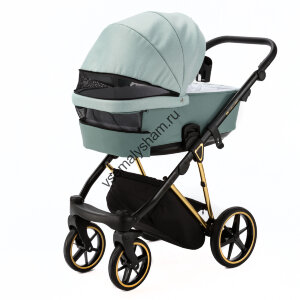 Коляска 2 в 1 Adamex Belissa Special Edition