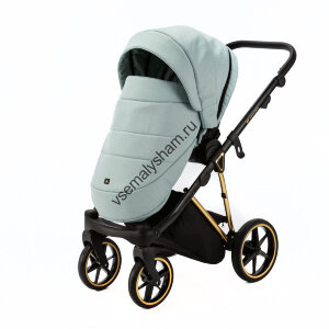 Коляска 2 в 1 Adamex Belissa Special Edition