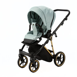 Коляска 2 в 1 Adamex Belissa Special Edition