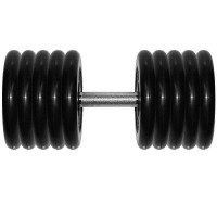 Гантель Barbell профи 56,0 кг