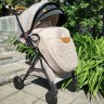 Прогулочная коляска Infinity Foxy SH633