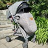 Прогулочная коляска Infinity Foxy SH633