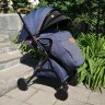 Прогулочная коляска Infinity Foxy SH633