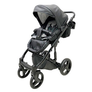 Коляска модульная 2 в 1 Everflo Rise