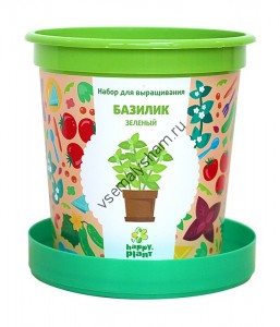 Горшок Базилик зеленый набор для выращивания