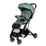 Коляска прогулочная Everflo Baby travel E-330