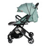 Коляска прогулочная Everflo Baby travel E-330