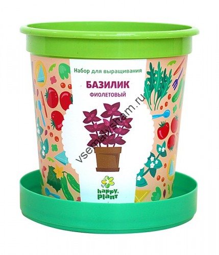 Горшок Базилик фиолетовый набор для выращивания