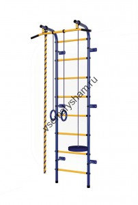 ДСК Пионер - С1НМ сине-желтый