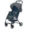 Коляска прогулочная Everflo Daily E-510