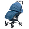 Коляска прогулочная Everflo Daily E-510