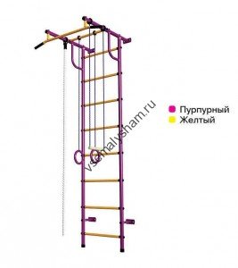 ДСК Пионер - С2Н пурпурно-желтый