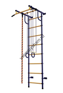 ДСК Пионер - С2Н сине-желтый