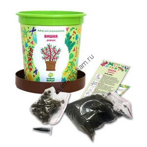 Горшок Вишня дивная набор для выращивания