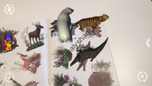 3D Живые наклейки Индия и Арктика