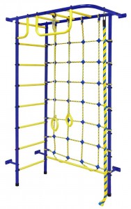 ДСК Пионер - 8 сине-желтый