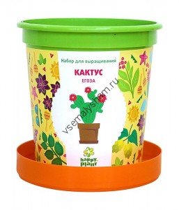 Горшок Кактус Егоза набор для выращивания
