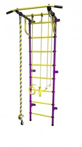 ДСК Пионер - С2Р пурпурно-желтый