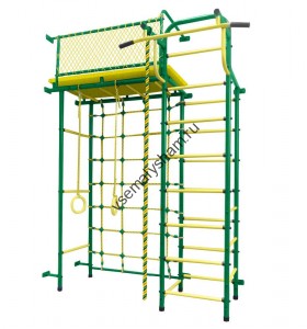 ДСК Пионер -  10С зелено-желтый