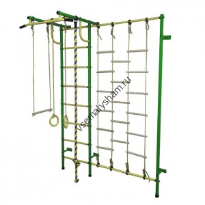 ДСК Пионер - С3Л зелено-желтый