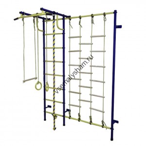 ДСК Пионер - С3Л сине-желтый