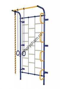 ДСК Пионер - С1Л сине-желтый