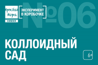 Коллоидный сад Эксперимент в коробочке