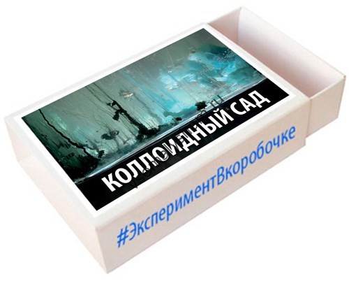 Коллоидный сад Эксперимент в коробочке
