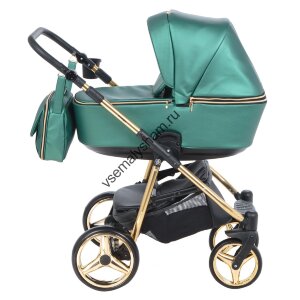Коляска 2 в 1 Adamex Reggio Shine