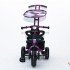 Велосипед VIP Toys Luxe Trike Next