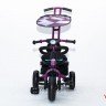 Велосипед VIP Toys Luxe Trike Next