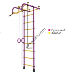 ДСК Пионер -  1М пурпурно-желтый