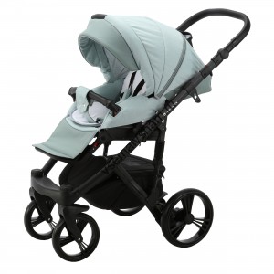 Коляска 2 в 1 Adamex Encore