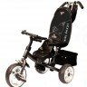 Велосипед Rich Toys Lexus Trike Original Next (2012)