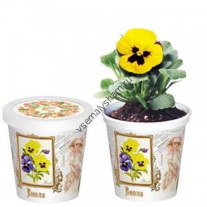 Набор для выращивания Виола