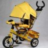 Трехколесный велосипед Street Trike A22-1A