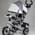 Трехколесный велосипед Street Trike A22-1A