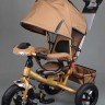 Трехколесный велосипед Street Trike A22-1D