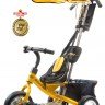 Велосипед Rich Toys Lexus Trike Classic (2012) 